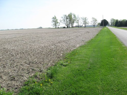 Property photo 11 - 172 Acres Offered in 3 Tracts - Prime Farmland